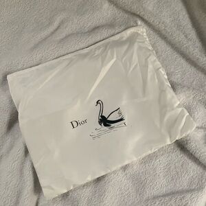 Dior Dust Bag